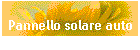 Pannello solare auto
